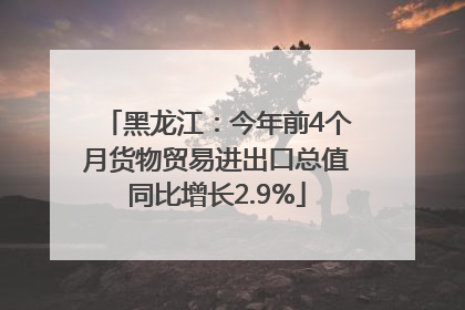 黑龙江：今年前4个月货物贸易进出口总值同比增长2.9%