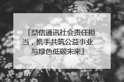 鼎信通讯社会责任担当，携手共筑公益事业与绿色低碳未来