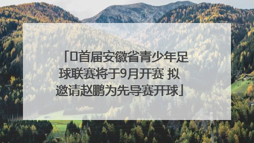 ﻿首届安徽省青少年足球联赛将于9月开赛 拟邀请赵鹏为先导赛开球