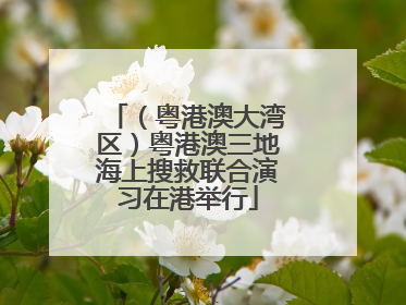 （粤港澳大湾区）粤港澳三地海上搜救联合演习在港举行