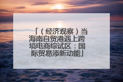 （经济观察）当海南自贸港遇上跨境电商综试区：国际贸易添新动能
