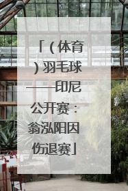 （体育）羽毛球——印尼公开赛：翁泓阳因伤退赛