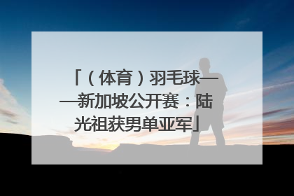 （体育）羽毛球——新加坡公开赛：陆光祖获男单亚军