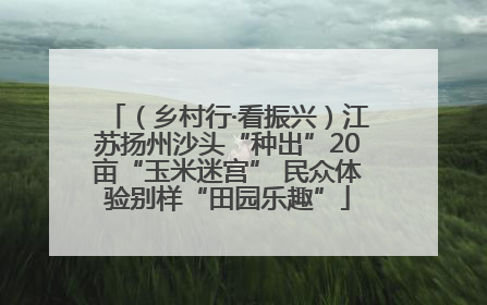 （乡村行·看振兴）江苏扬州沙头“种出”20亩“玉米迷宫” 民众体验别样“田园乐趣”