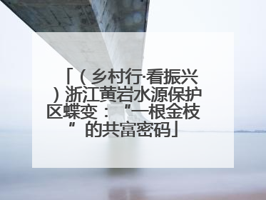 （乡村行·看振兴）浙江黄岩水源保护区蝶变：“一根金枝”的共富密码