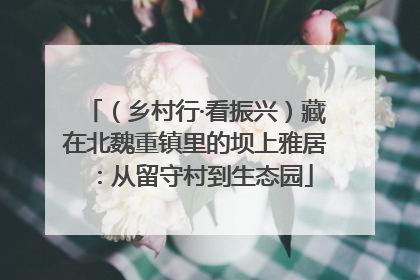 （乡村行·看振兴）藏在北魏重镇里的坝上雅居：从留守村到生态园