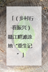 （乡村行·看振兴）赣江畔滩涂地“重生记”