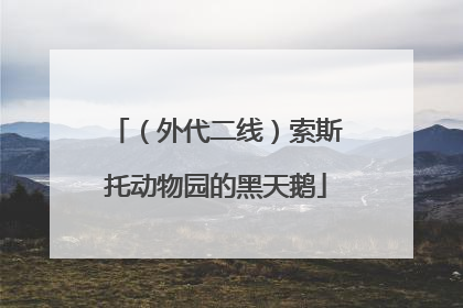 （外代二线）索斯托动物园的黑天鹅