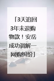 3天追回3年未退购物款！安岳成功调解一网购纠纷