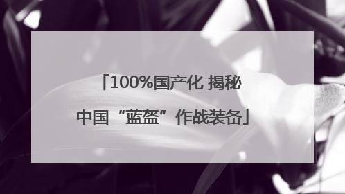 100%国产化 揭秘中国“蓝盔”作战装备