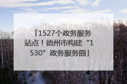 1527个政务服务站点！德州市构建“1530”政务服务圈