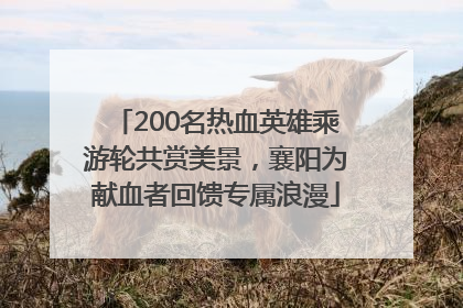 200名热血英雄乘游轮共赏美景，襄阳为献血者回馈专属浪漫