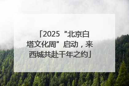 2025“北京白塔文化周”启动，来西城共赴千年之约