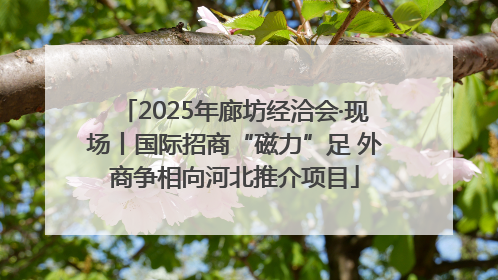 2025年廊坊经洽会·现场丨国际招商“磁力”足 外商争相向河北推介项目