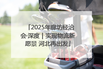 2025年廊坊经洽会·深度｜实现物流新愿景 河北再出发