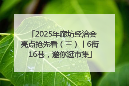 2025年廊坊经洽会亮点抢先看（三）丨6街16巷，邀你逛市集
