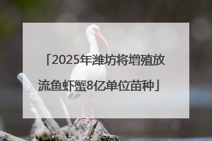 2025年潍坊将增殖放流鱼虾蟹8亿单位苗种