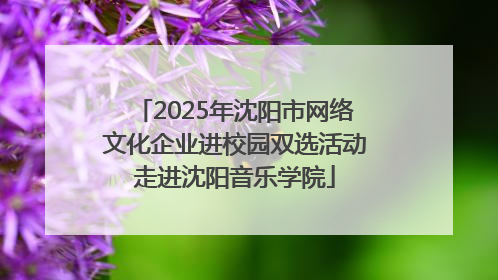 2025年沈阳市网络文化企业进校园双选活动走进沈阳音乐学院
