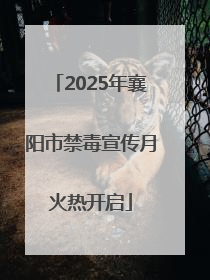 2025年襄阳市禁毒宣传月火热开启