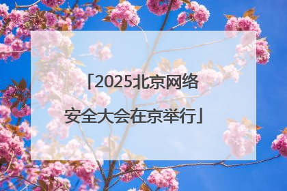 2025北京网络安全大会在京举行