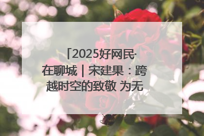 2025好网民·在聊城｜宋建果：跨越时空的致敬 为无名烈士“正名”