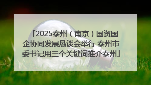 2025泰州（南京）国资国企协同发展恳谈会举行 泰州市委书记用三个关键词推介泰州