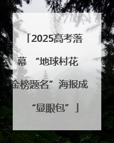 2025高考落幕 “地球村花 金榜题名”海报成“显眼包”