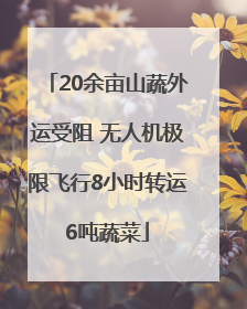 20余亩山蔬外运受阻 无人机极限飞行8小时转运6吨蔬菜