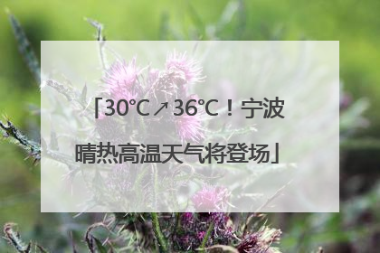 30℃↗36℃！宁波晴热高温天气将登场