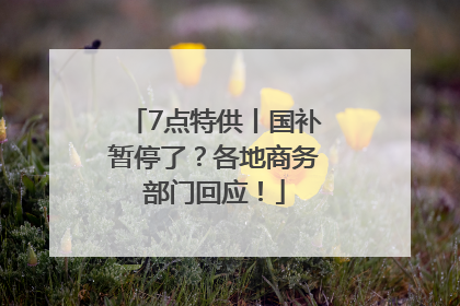 7点特供丨国补暂停了？各地商务部门回应！