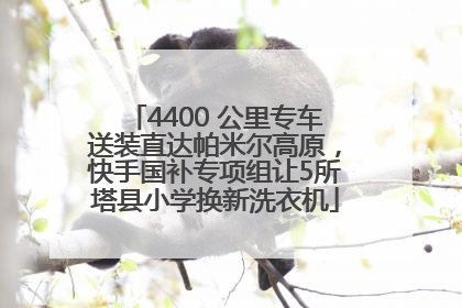 4400 公里专车送装直达帕米尔高原，快手国补专项组让5所塔县小学换新洗衣机