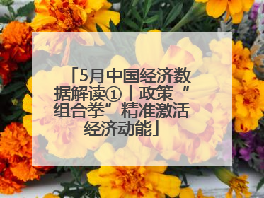 5月中国经济数据解读①丨政策“组合拳”精准激活经济动能