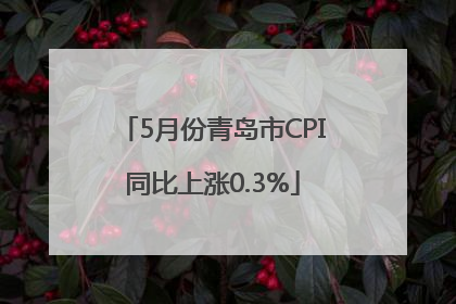 5月份青岛市CPI同比上涨0.3%