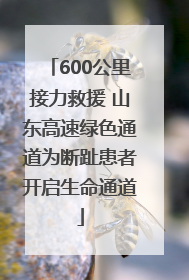 600公里接力救援 山东高速绿色通道为断趾患者开启生命通道