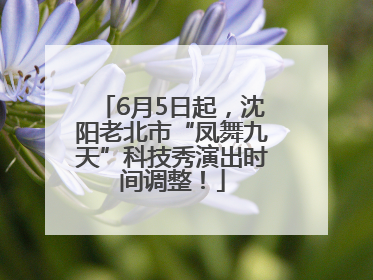 6月5日起，沈阳老北市“凤舞九天”科技秀演出时间调整！