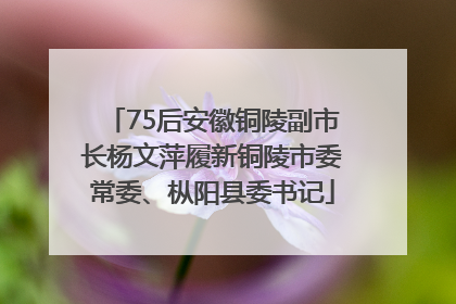 75后安徽铜陵副市长杨文萍履新铜陵市委常委、枞阳县委书记
