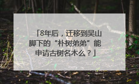 8年后，迁移到吴山脚下的“朴树弟弟”能申请古树名木么？